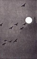 Uhrilehto : Tee Huorin ja Tapa Uhrilehto : Tee Huorin ja Tapa